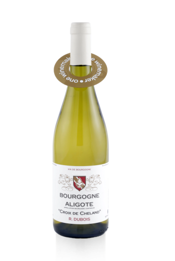 BOURGOGNE ALIGOTE LA CROIX DE CHELAND R. DUBOIS 2023 75CL